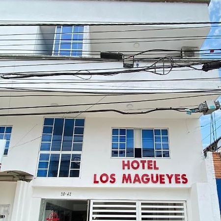 Hotel Los Magueyes ブカラマンガ エクステリア 写真