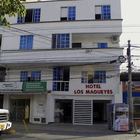 Hotel Los Magueyes ブカラマンガ エクステリア 写真