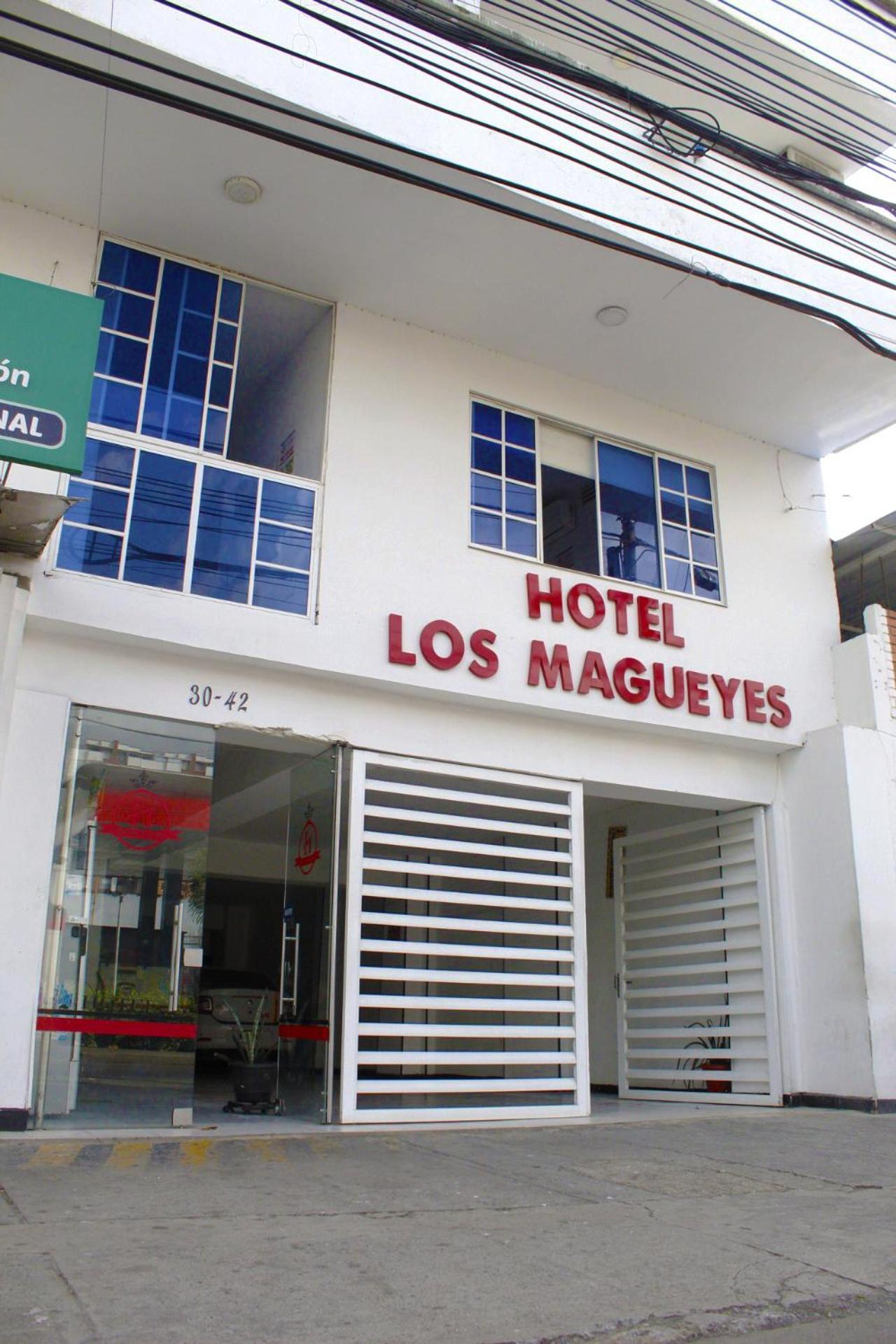 Hotel Los Magueyes ブカラマンガ エクステリア 写真